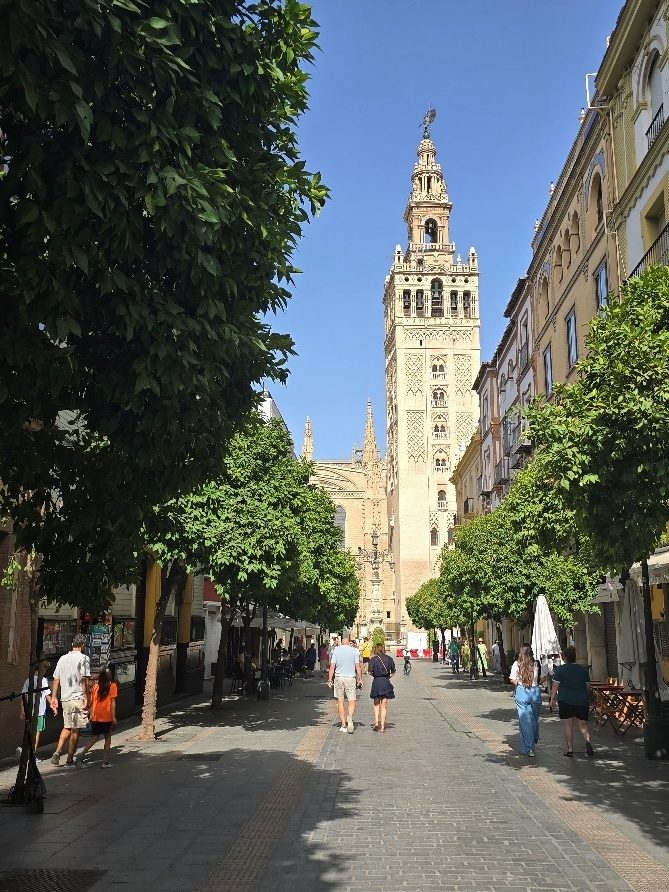 La Giralda Tower rising above a tree-lined street in Seville, Spain